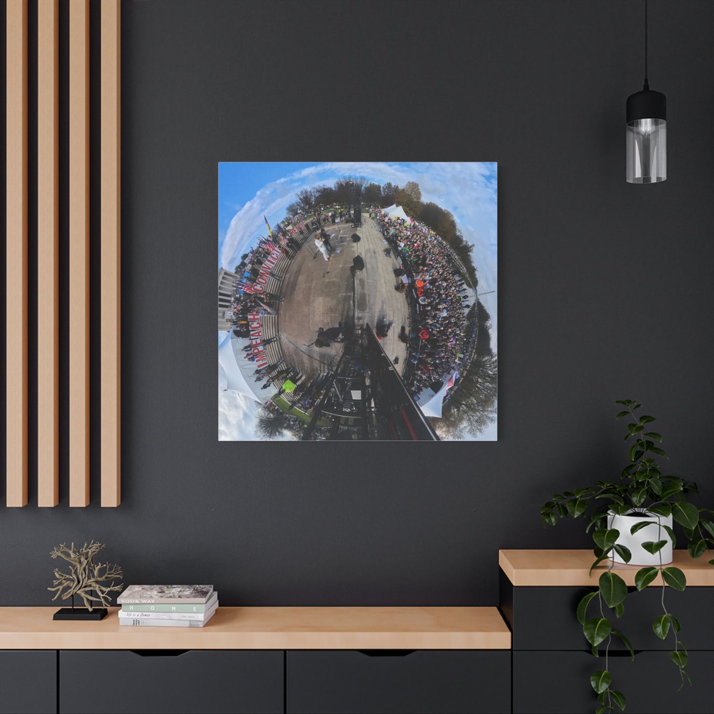 Remove the Regime 2025 in DC — Panoramic Rally Matte Canvas Print | Stretched 1.25”