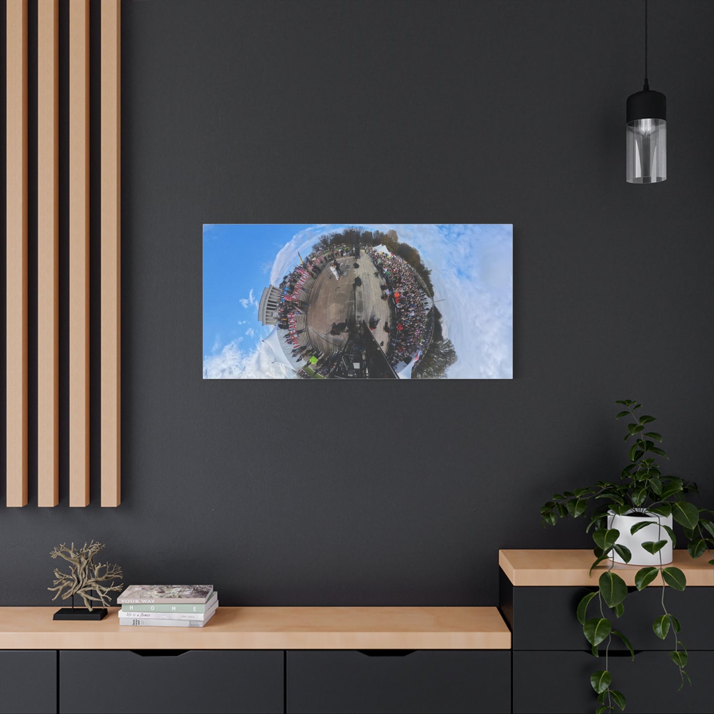 Remove the Regime 2025 in DC — Panoramic Rally Matte Canvas Print | Stretched 1.25”