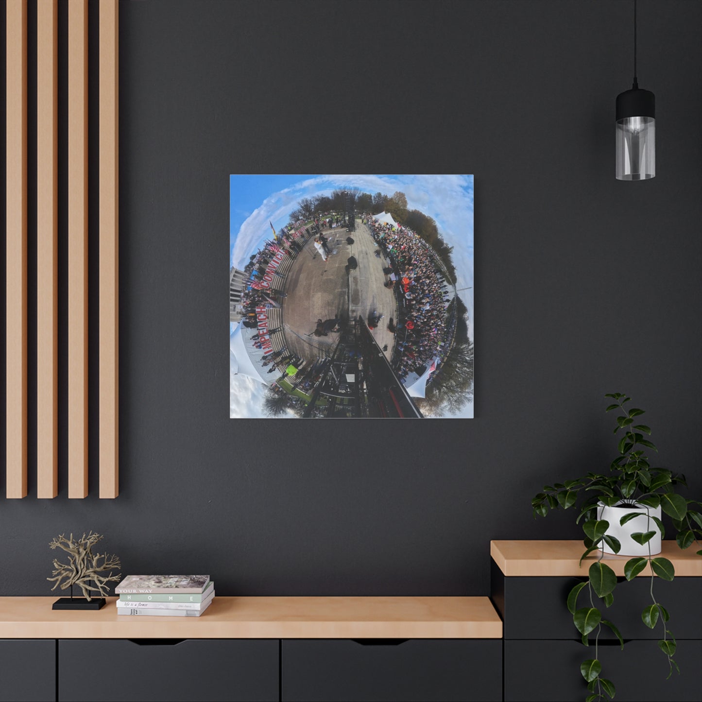 Remove the Regime 2025 in DC — Panoramic Rally Matte Canvas Print | Stretched 1.25”