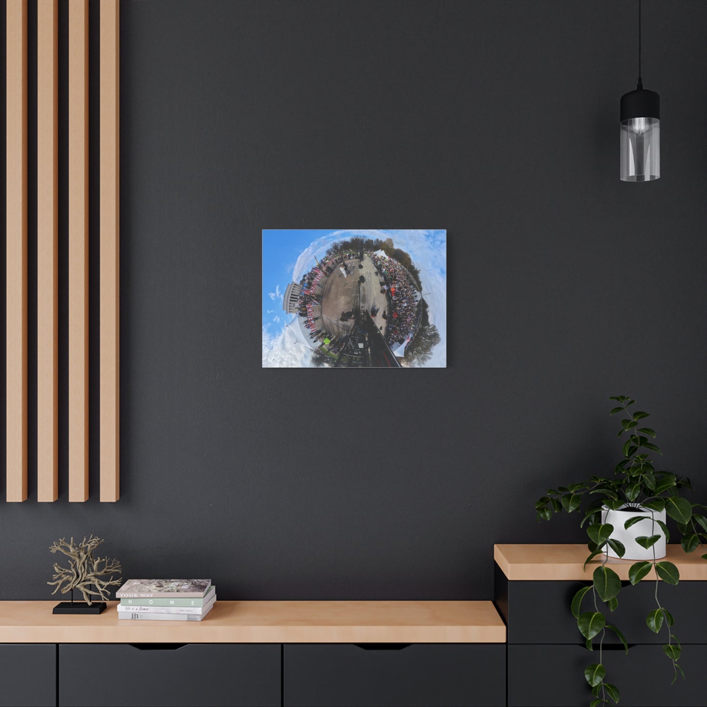 Remove the Regime 2025 in DC — Panoramic Rally Matte Canvas Print | Stretched 1.25”