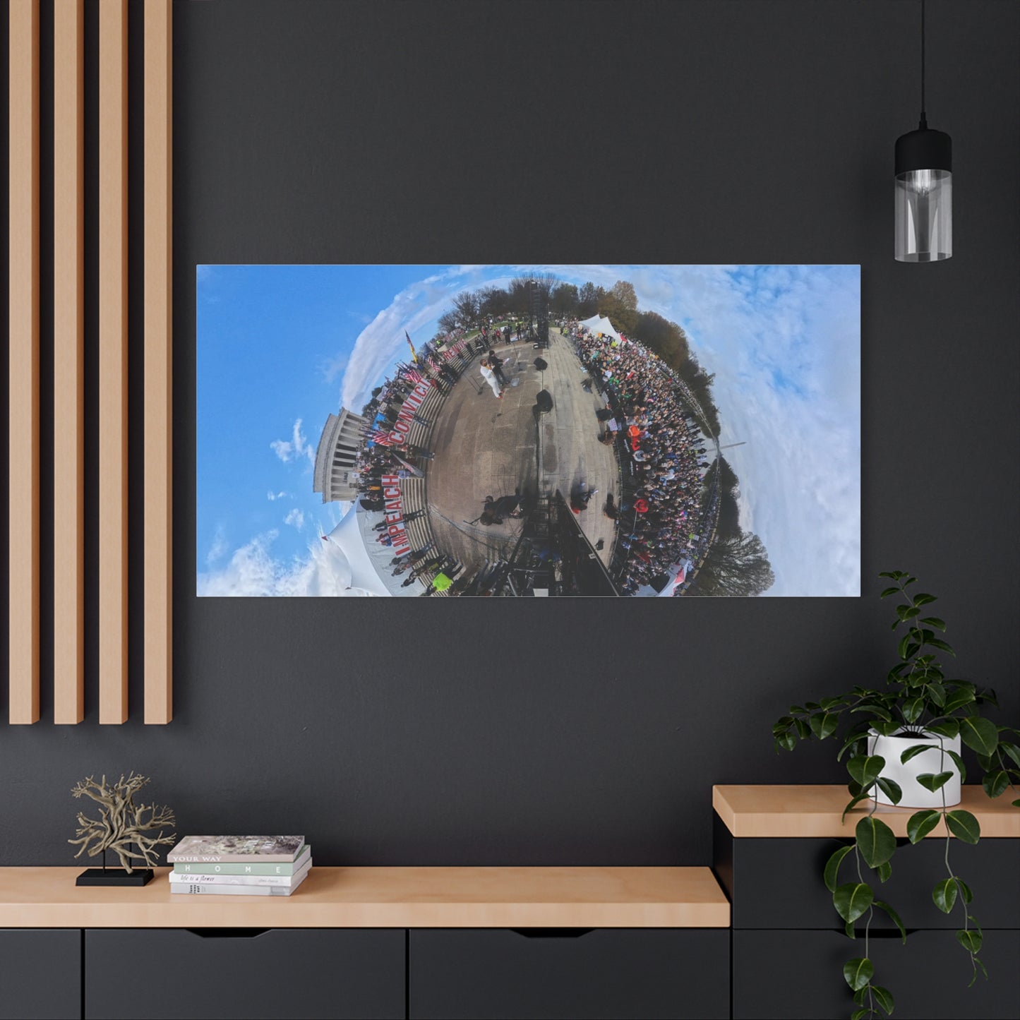 Remove the Regime 2025 in DC — Panoramic Rally Matte Canvas Print | Stretched 1.25”