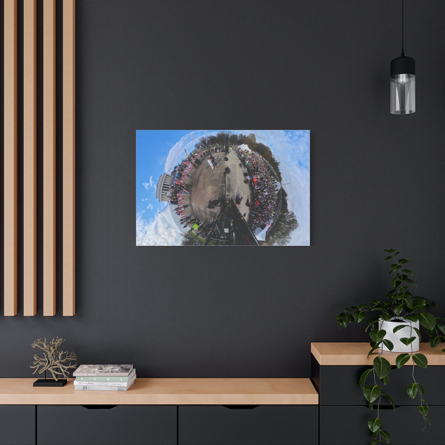 Remove the Regime 2025 in DC — Panoramic Rally Matte Canvas Print | Stretched 1.25”