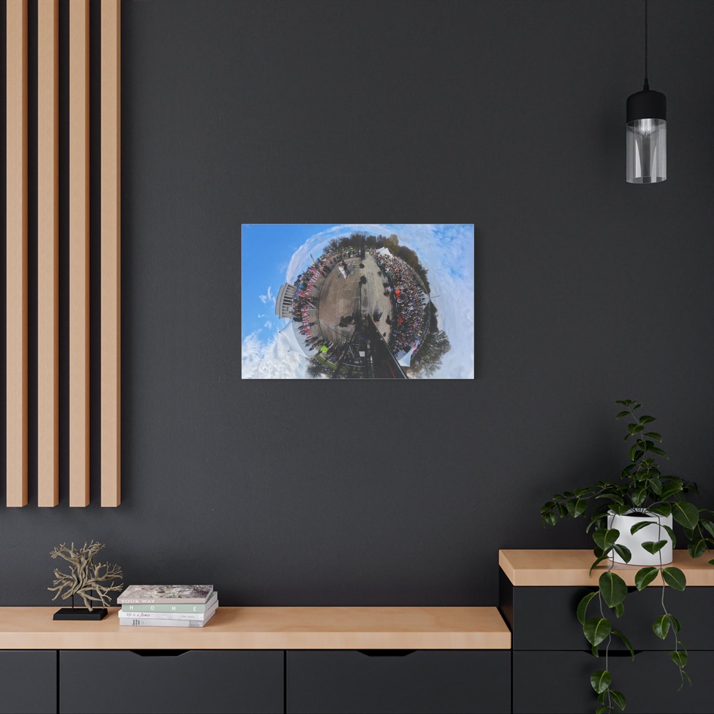 Remove the Regime 2025 in DC — Panoramic Rally Matte Canvas Print | Stretched 1.25”