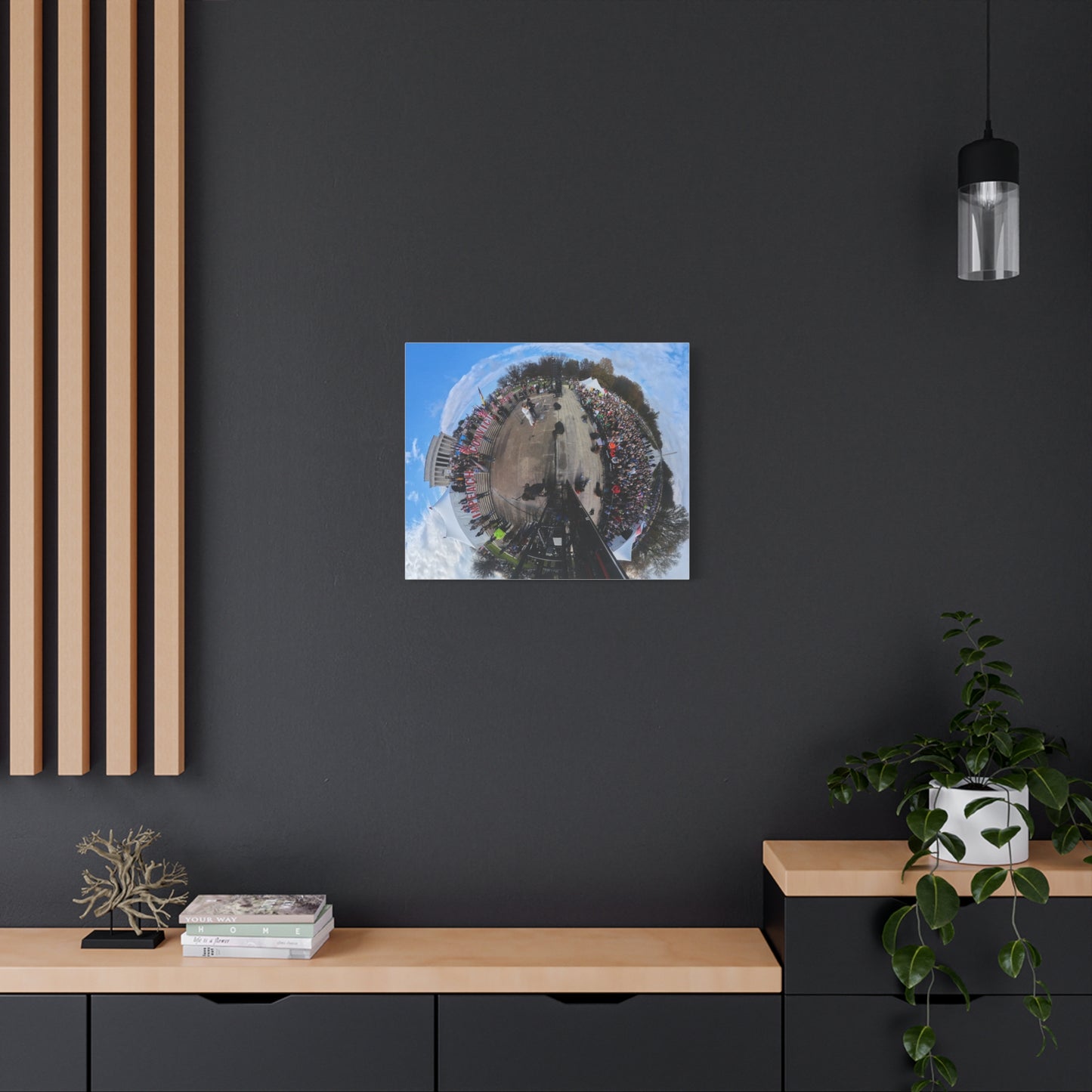 Remove the Regime 2025 in DC — Panoramic Rally Matte Canvas Print | Stretched 1.25”