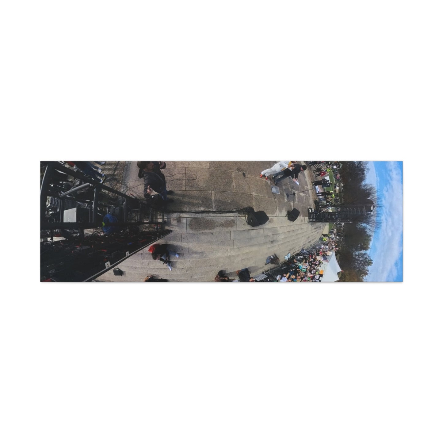 Remove the Regime 2025 in DC — Panoramic Rally Matte Canvas Print | Stretched 1.25”