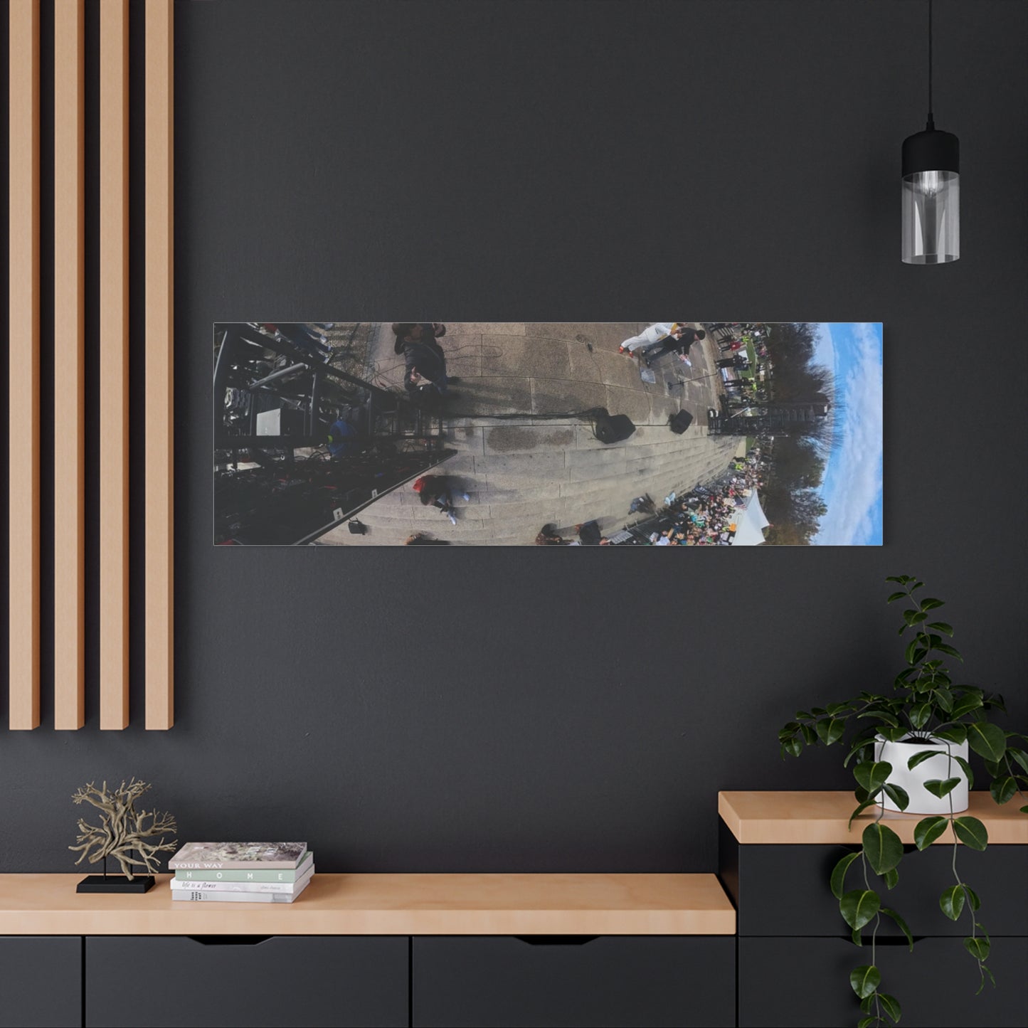 Remove the Regime 2025 in DC — Panoramic Rally Matte Canvas Print | Stretched 1.25”