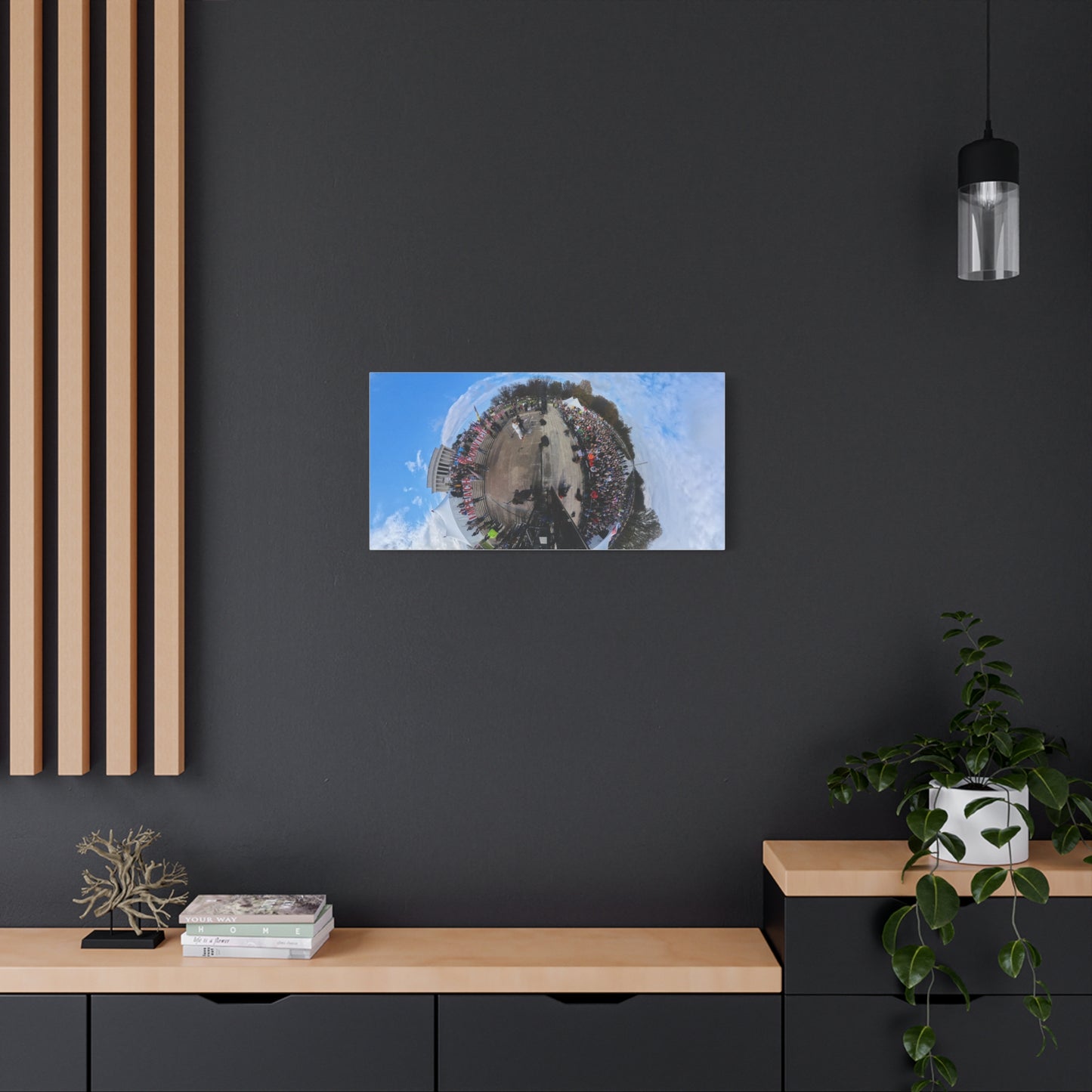 Remove the Regime 2025 in DC — Panoramic Rally Matte Canvas Print | Stretched 1.25”