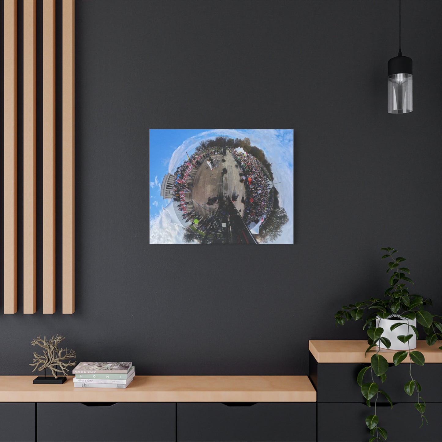 Remove the Regime 2025 in DC — Panoramic Rally Matte Canvas Print | Stretched 1.25”