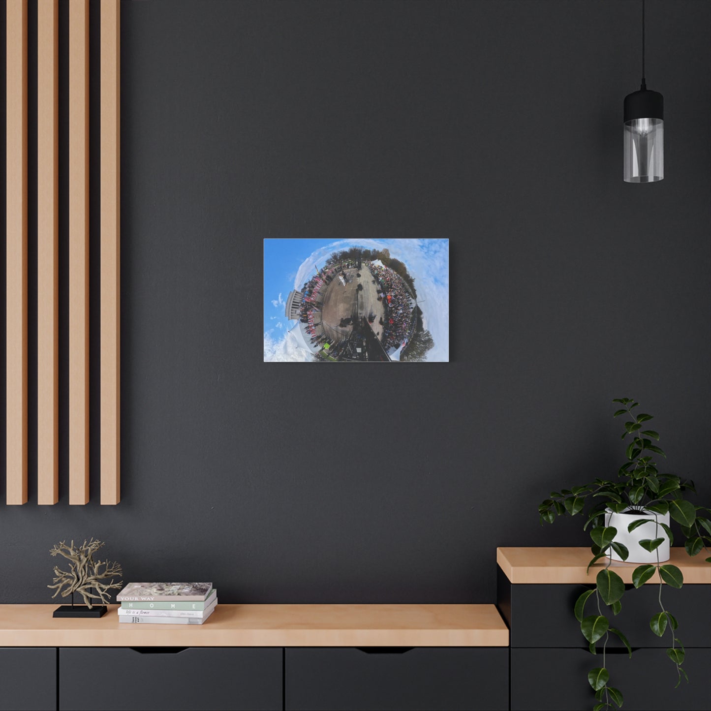 Remove the Regime 2025 in DC — Panoramic Rally Matte Canvas Print | Stretched 1.25”