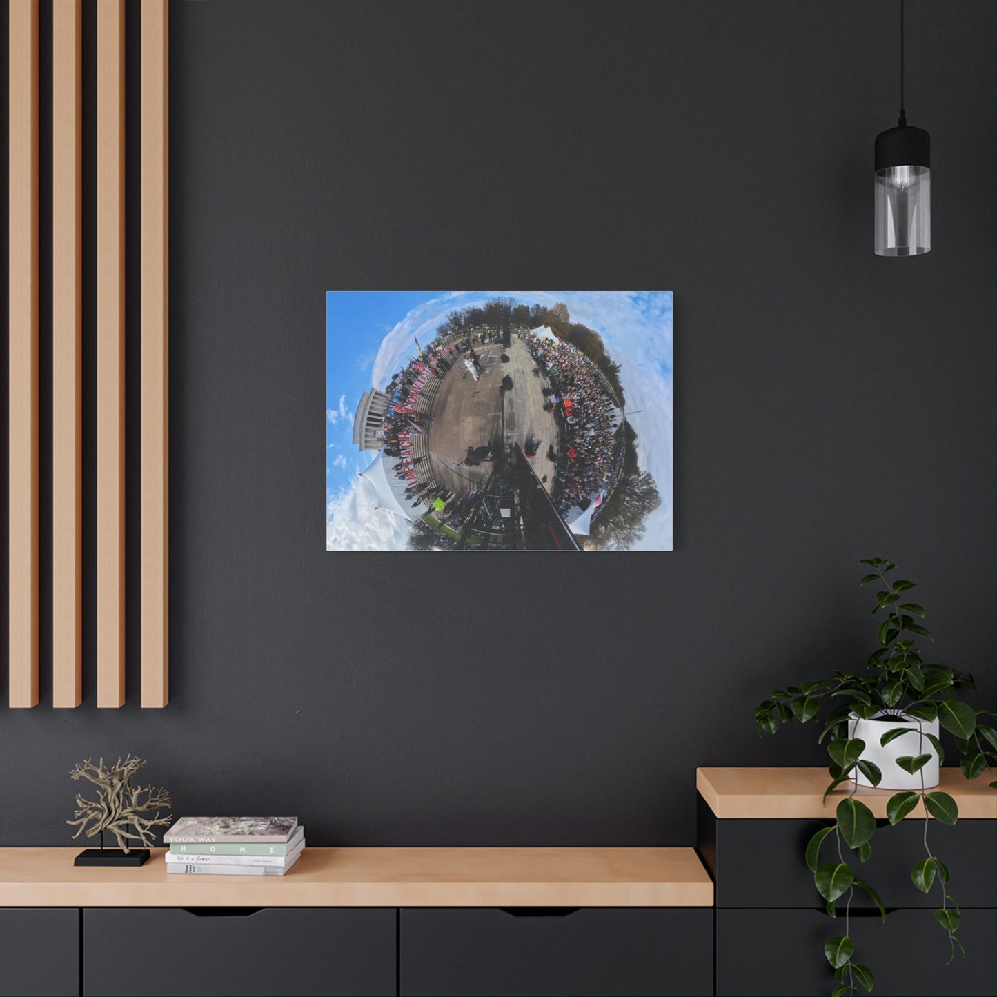 Remove the Regime 2025 in DC — Panoramic Rally Matte Canvas Print | Stretched 1.25”