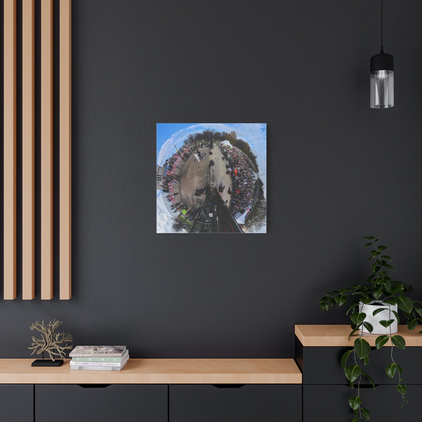 Remove the Regime 2025 in DC — Panoramic Rally Matte Canvas Print | Stretched 1.25”